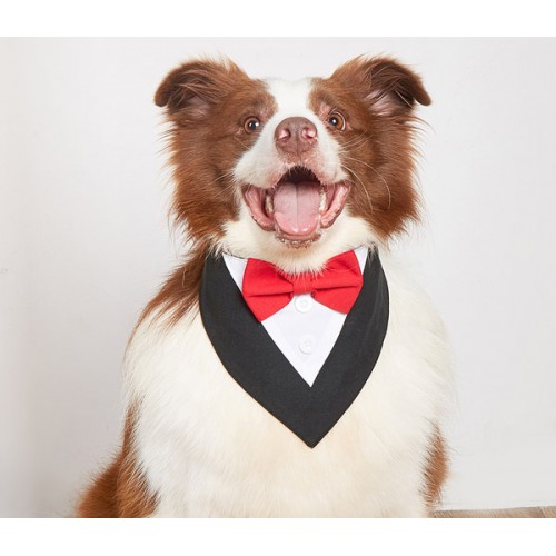 High-end and textured Wedding Suit Dog Bandana-Solid Color
