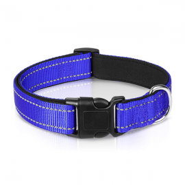 Visibility And Safety Neoprene Dog Collar With Regular Buckle  