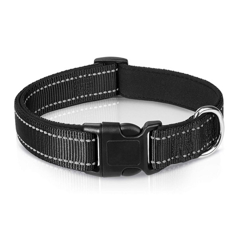 Reflective Nylon Dog Collar