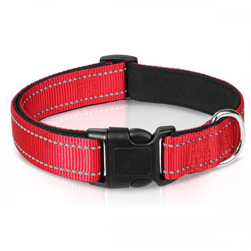 Reflective Nylon Dog Collar