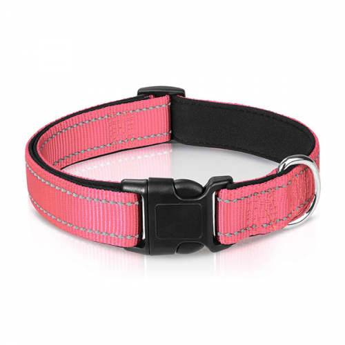 Reflective Nylon Dog Collar