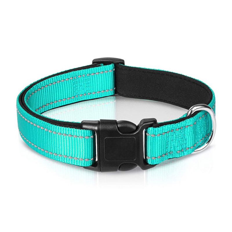 Reflective Nylon Dog Collar 