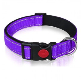 Reflective Nylon Dog Collar