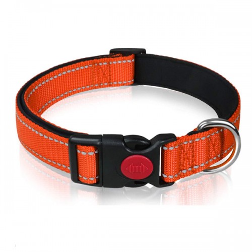Reflective Nylon Dog Collar