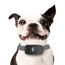 Bark Collar for Dogs